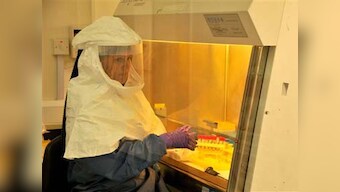Researchers find new species of Ebola virus in bats in Sierra Leone; unclear if it can cause disease