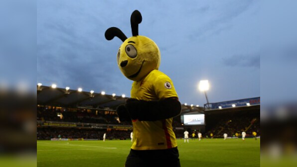 Premier League: Watford's mascot Harry the Hornet embroiled in row after 'mocking' Wilfried Zaha
