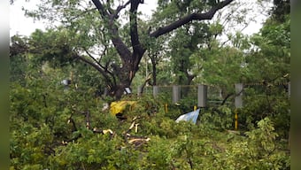Cyclone Vardah rips through Chennai: City's poor green record is a concern