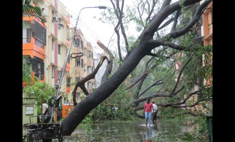 Cyclone Vardah brings Chennais vulnerabilities to the fore, reminds residents of 2015 floods