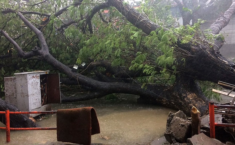 Cyclone Vardah Hits Chennai; Thousands Suffer - Photos News , Firstpost