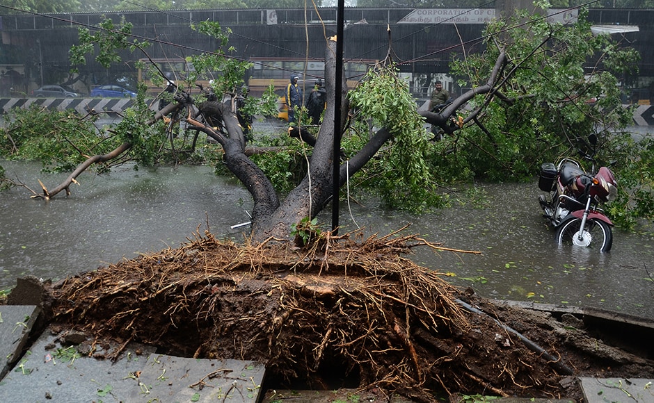 In this photograph taken on 12 December, bystanders look at a tree that fell across a street in Chennai, after Cyclone Vardah crossed the Indian coast in the southern state of Tamil Nadu. At least 10 people were killed when Cyclone Vardah slammed into the southern Indian tech hub of Chennai, bringing down houses and cutting off the electricity supply, authorities said 13 December. AFP In this photograph taken on 12 December, bystanders look at a tree that fell across a street in Chennai, after Cyclone Vardah crossed the Indian coast in the southern state of Tamil Nadu. At least 10 people were killed when Cyclone Vardah slammed into the southern Indian tech hub of Chennai, bringing down houses and cutting off the electricity supply, authorities said 13 December. AFP