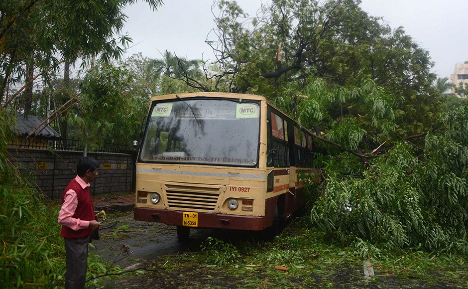 A pedestrian looks at a tree that fell on a bus in Chennai, after Cyclone Vardah crossed the Indian coast in the southern state of Tamil Nadu. AFP A pedestrian looks at a tree that fell on a bus in Chennai, after Cyclone Vardah crossed the Indian coast in the southern state of Tamil Nadu. AFP