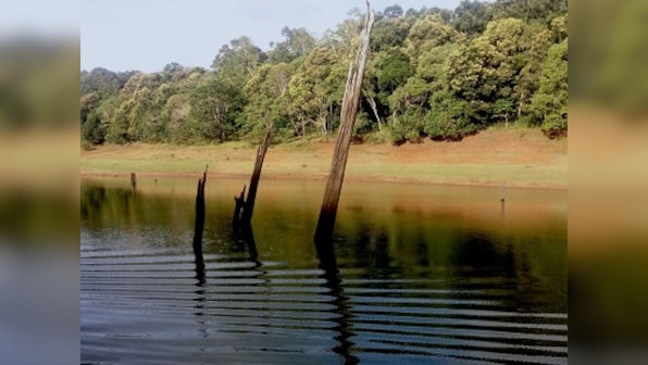 Travels through Thekkady: From Kumily's cardamom hills to floating on the Periyar
