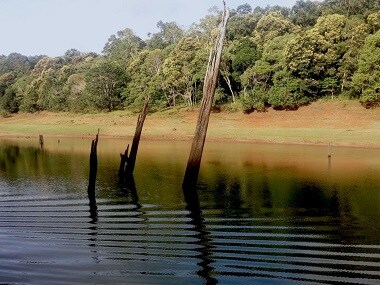 Travels through Thekkady: From Kumily's cardamom hills to floating on the Periyar