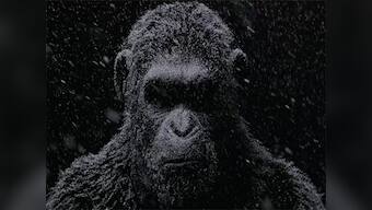War for the Planet of the Apes trailer: Man vs ape conflict turns into a 'do or die' combat