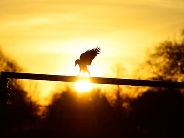 Want to live longer? Maintain optimistic outlook towards life, says study