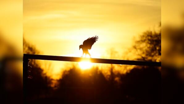 Want to live longer? Maintain optimistic outlook towards life, says study