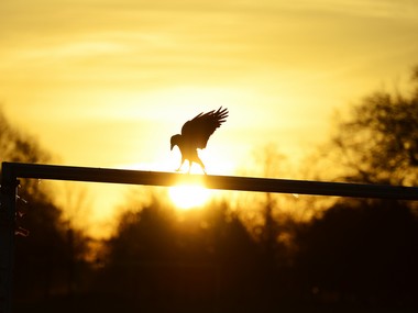 Want to live longer? Maintain optimistic outlook towards life, says study Want to live longer? Maintain optimistic outlook towards life, says study