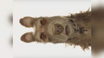 Watch: Wes Anderson announces Isle of Dogs, new stop-motion film starring your favorite actors