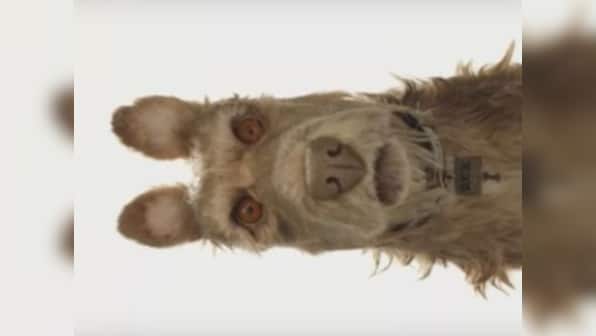 Watch: Wes Anderson announces Isle of Dogs, new stop-motion film starring your favorite actors