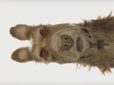 Watch: Wes Anderson announces Isle of Dogs, new stop-motion film starring your favorite actors Watch: Wes Anderson announces Isle of Dogs, new stop-motion film starring your favorite actors