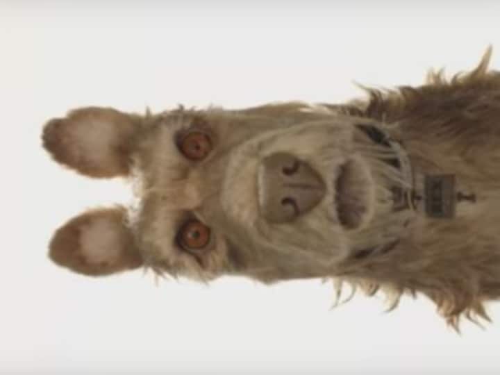 Watch: Wes Anderson announces Isle of Dogs, new stop-motion film starring your favorite actors