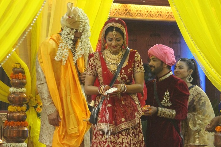 Bigg Boss 10, Episode 94, 18 January 2017: Monalisa, Vikrant exchange wedding vows, exit the house