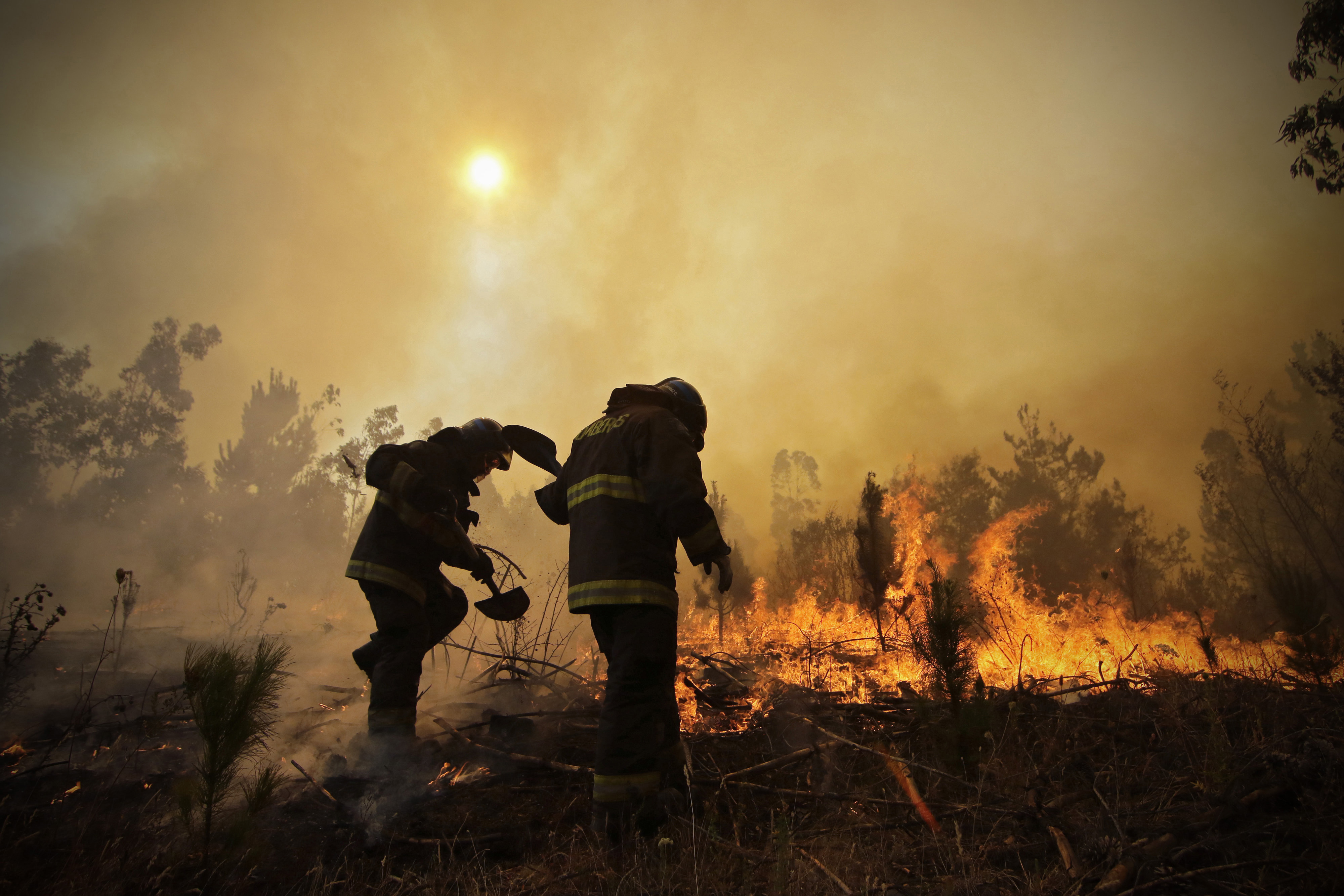 Four firefighters, two police officers killed battling forest fires in Chile Four firefighters, two police officers killed battling forest fires in Chile