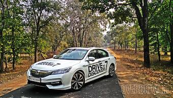 Honda Drive to Discover: Into the wild