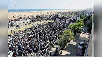 Jallikattu protests are the outpouring of Tamil Nadu's anguish at being repeatedly slighted