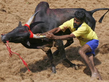 Jallikattu uprising is a spontaneous pushback against the tyranny of antiseptic western 'liberalism' Jallikattu uprising is a spontaneous pushback against the tyranny of antiseptic western 'liberalism'