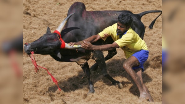 Jallikattu protests: Tamil identity has been a deep fault-line for at least half a century