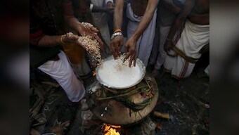 Makar Sankranti and Thai Pongal: Indian harvest festivals are time to celebrate nature, introspect