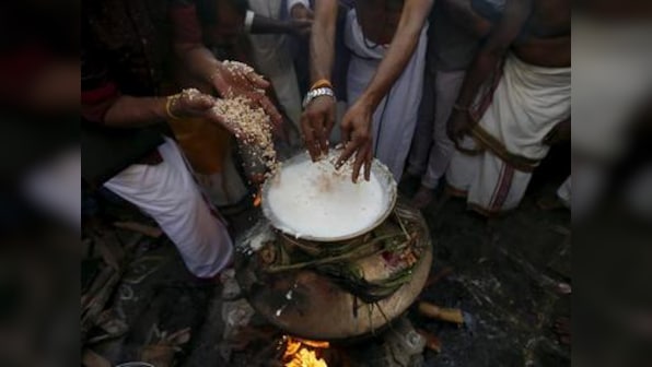Makar Sankranti and Thai Pongal: Indian harvest festivals are time to celebrate nature, introspect