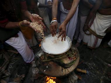 Makar Sankranti and Thai Pongal: Indian harvest festivals are time to celebrate nature, introspect Makar Sankranti and Thai Pongal: Indian harvest festivals are time to celebrate nature, introspect