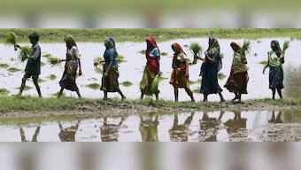 Budget 2017: A four-point agenda for Arun Jaitley to boost farm productivity