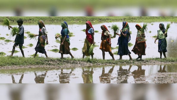 Budget 2017: A four-point agenda for Arun Jaitley to boost farm productivity