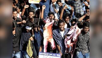 Jallikattu: Protesters deny Panneerselvam's request; to stay put till sport is organised