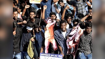 Jallikattu: Denial meets drama and violence as drought-hit Tamil Nadu seeks release with bulls