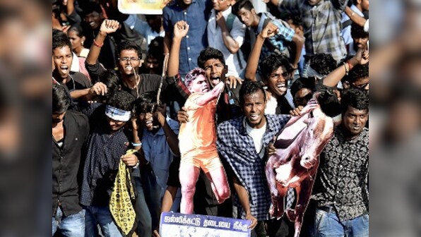 Jallikattu: Denial meets drama and violence as drought-hit Tamil Nadu seeks release with bulls