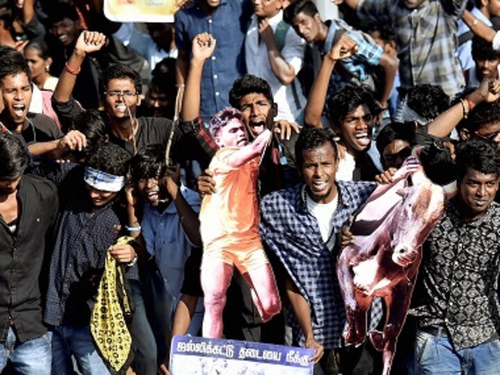 Jallikattu: Denial meets drama and violence as drought-hit Tamil Nadu seeks release with bulls