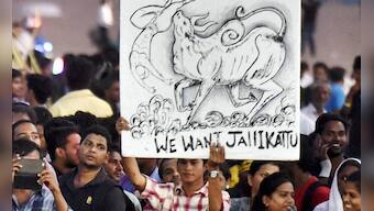 Narendra Modi govt's stand on jallikattu re-establishes bias towards Tamil interests