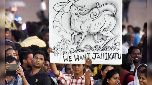 Jallikattu row: Protests in Tamil Nadu are not to stage bull-fights, but to safeguard cultural autonomy