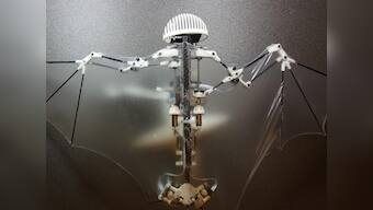 Batbot begins: This robot mimics key flight mechanism of bats