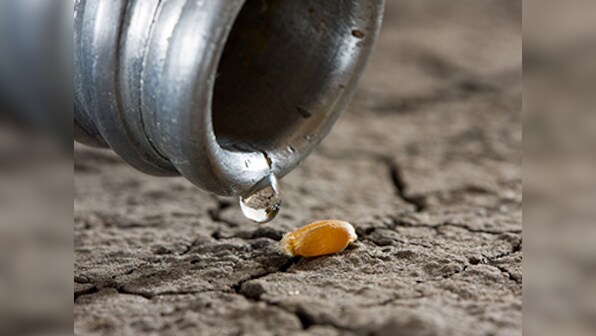 India's parched reality