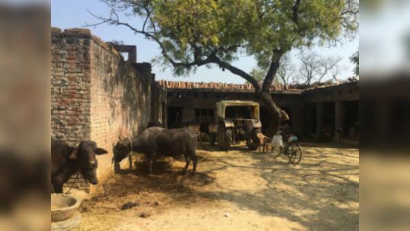 UP Election 2017: In Sonia Gandhi's adopted Udwa village, millennials are impressed with Modi's 'audaciousness'