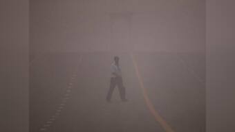 China, India account for half world's pollution deaths in 2015: Study