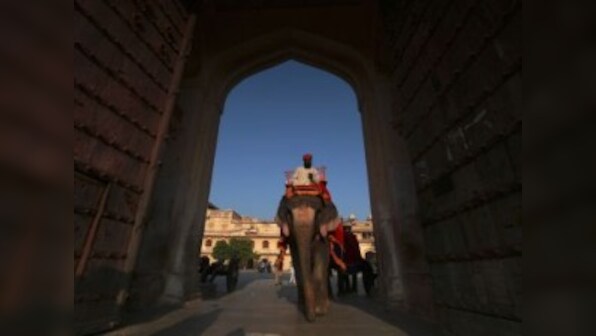 Court orders police to probe cruelty against elephants used for joyrides in Jaipur's Amber Fort