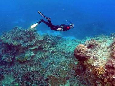 Remains of huge undersea landslide found on Great Barrier Reef Remains of huge undersea landslide found on Great Barrier Reef
