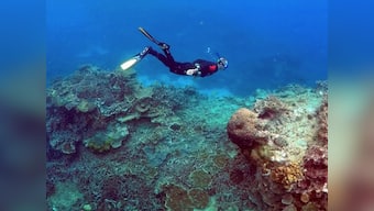 Remains of huge undersea landslide found on Great Barrier Reef