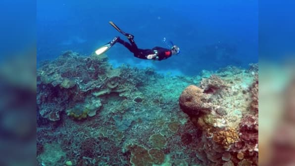 Great Barrier Reef: No chance of recovery for corals in Australia after consecutive years of bleaching