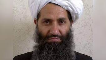 Taliban releases public statement asking Afghans to 'plant more trees'... no, really
