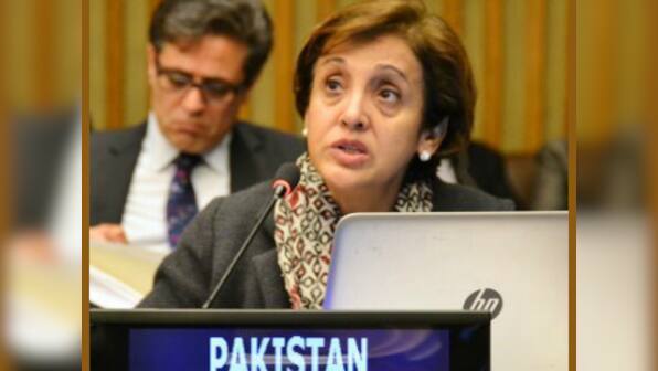 Tehmina Janjua, Pakistan's first woman foreign secretary, will pose tough resistance to India