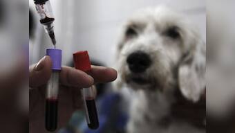 Beauty and the beasts: The cosmetics industry is cruel to animals, but you can make a difference