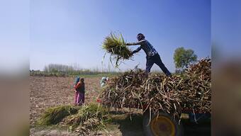PMO okays labour ministry's Rs 2 lakh crore social security plan for 50 crore workers; will be rolled out in phases