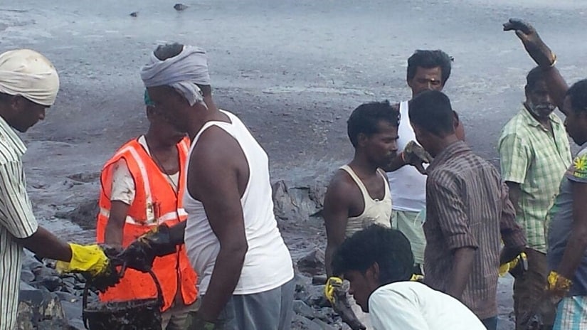 Fishermen, student volunteers and the coast guard working hard to clean the oil spill.