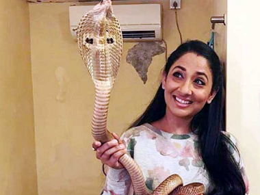Shruti Ulfat and four others arrested for posting pictures with a protected cobra Shruti Ulfat and four others arrested for posting pictures with a protected cobra