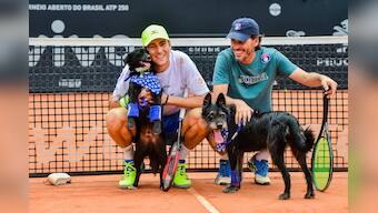 Brazil Open: Who's a good dog? The tennis ball retrievers at Sao Paulo for 2nd straight year