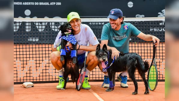Brazil Open: Who's a good dog? The tennis ball retrievers at Sao Paulo for 2nd straight year